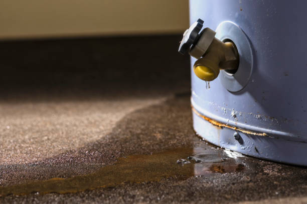 Best Fire Damage Restoration  in Mineral Point, WI