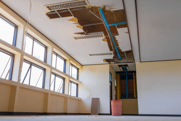 Best Emergency water damage restoration  in Mineral Point, WI