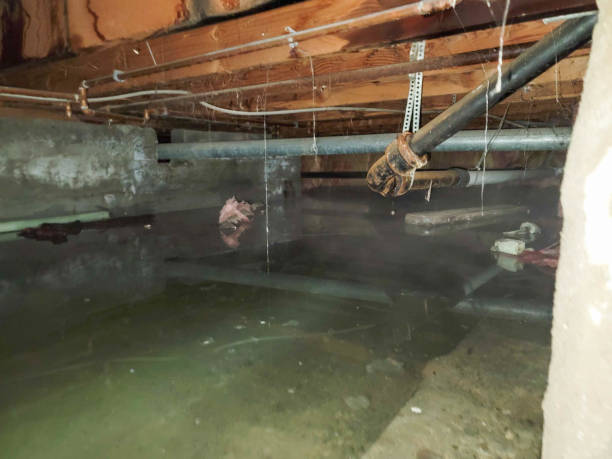Best Ceiling water damage repair  in Mineral Point, WI
