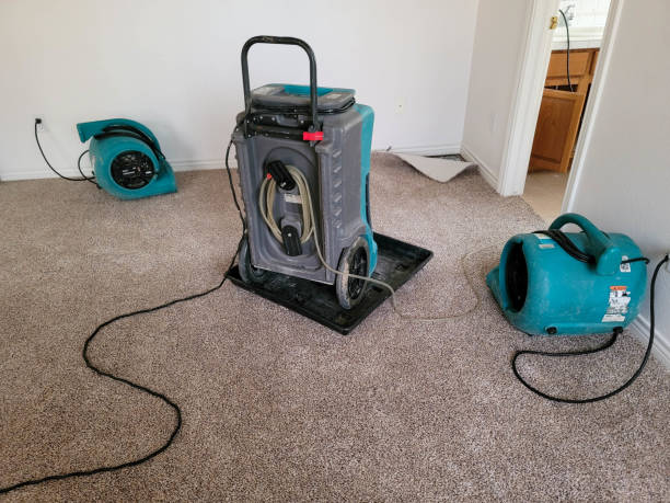 Best Local water damage restoration  in Mineral Point, WI