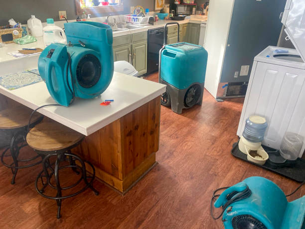 Best Residential water damage restoration  in Mineral Point, WI
