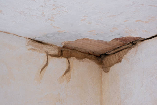 Best Flood damage cleanup  in Mineral Point, WI