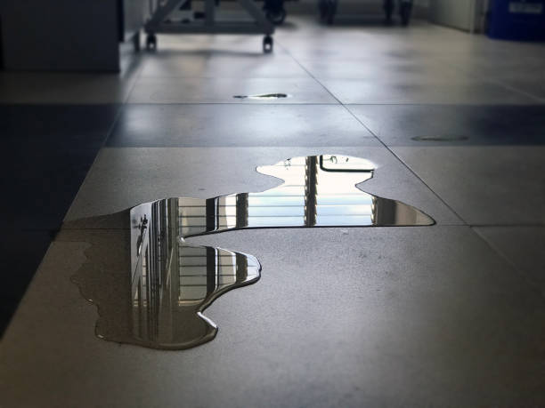Best Water damage cleanup near me  in Mineral Point, WI