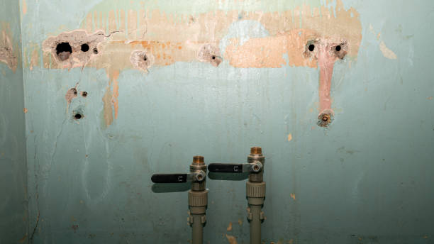 Best Water damage contractors near me  in Mineral Point, WI