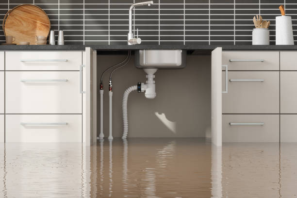 Best Ceiling water damage repair  in Mineral Point, WI