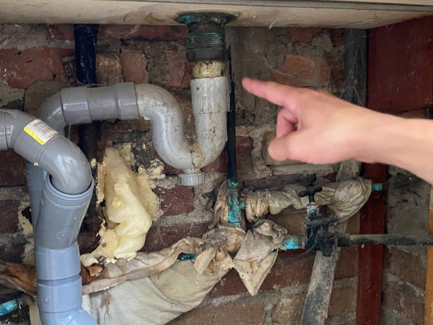Best Local water damage restoration  in Mineral Point, WI