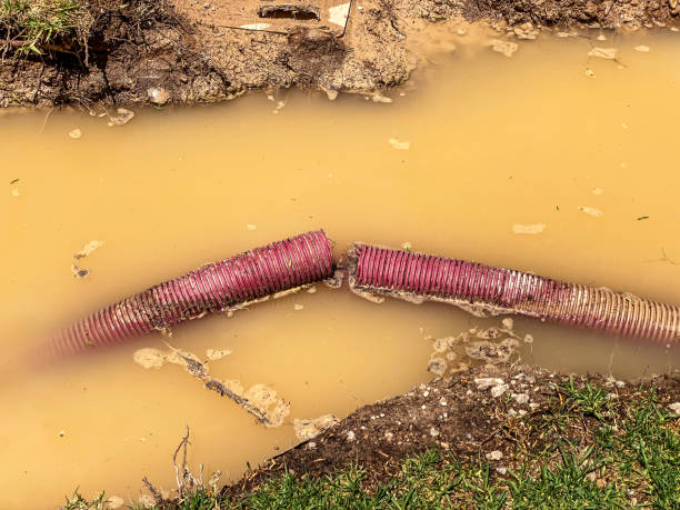 Best Basement water damage restoration  in Mineral Point, WI
