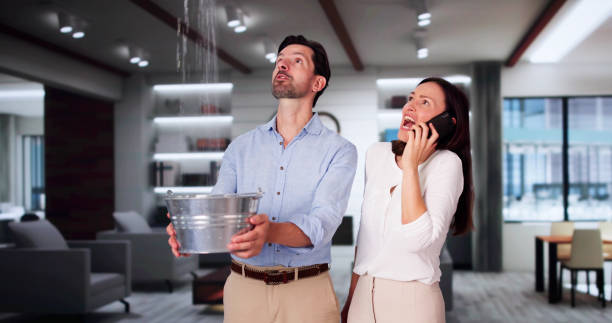 Best Flood damage cleanup  in Mineral Point, WI